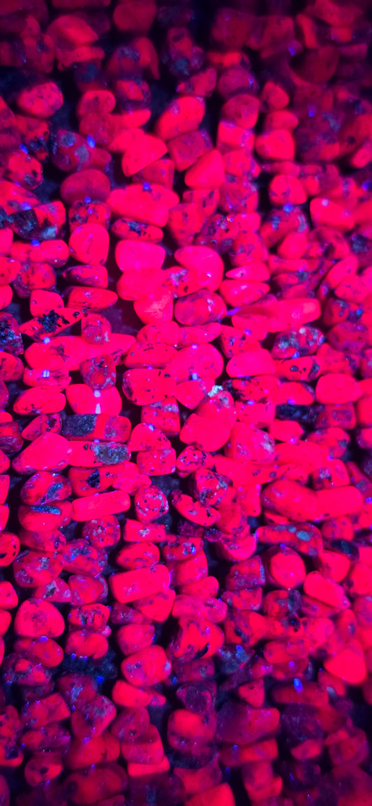 Ruby Beads - Chip