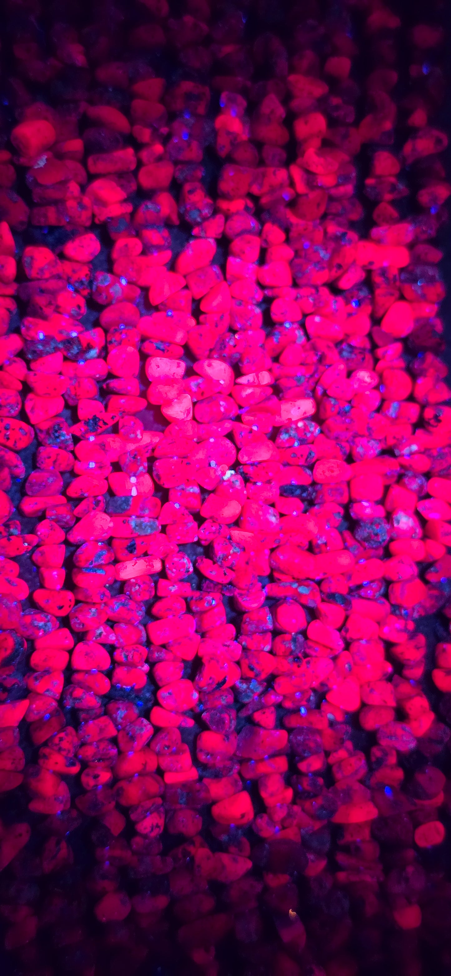 Ruby Beads - Chip