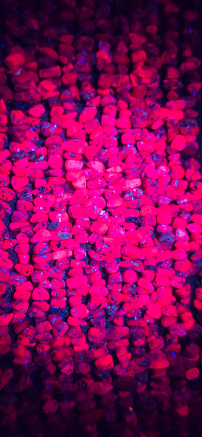 Ruby Beads - Chip