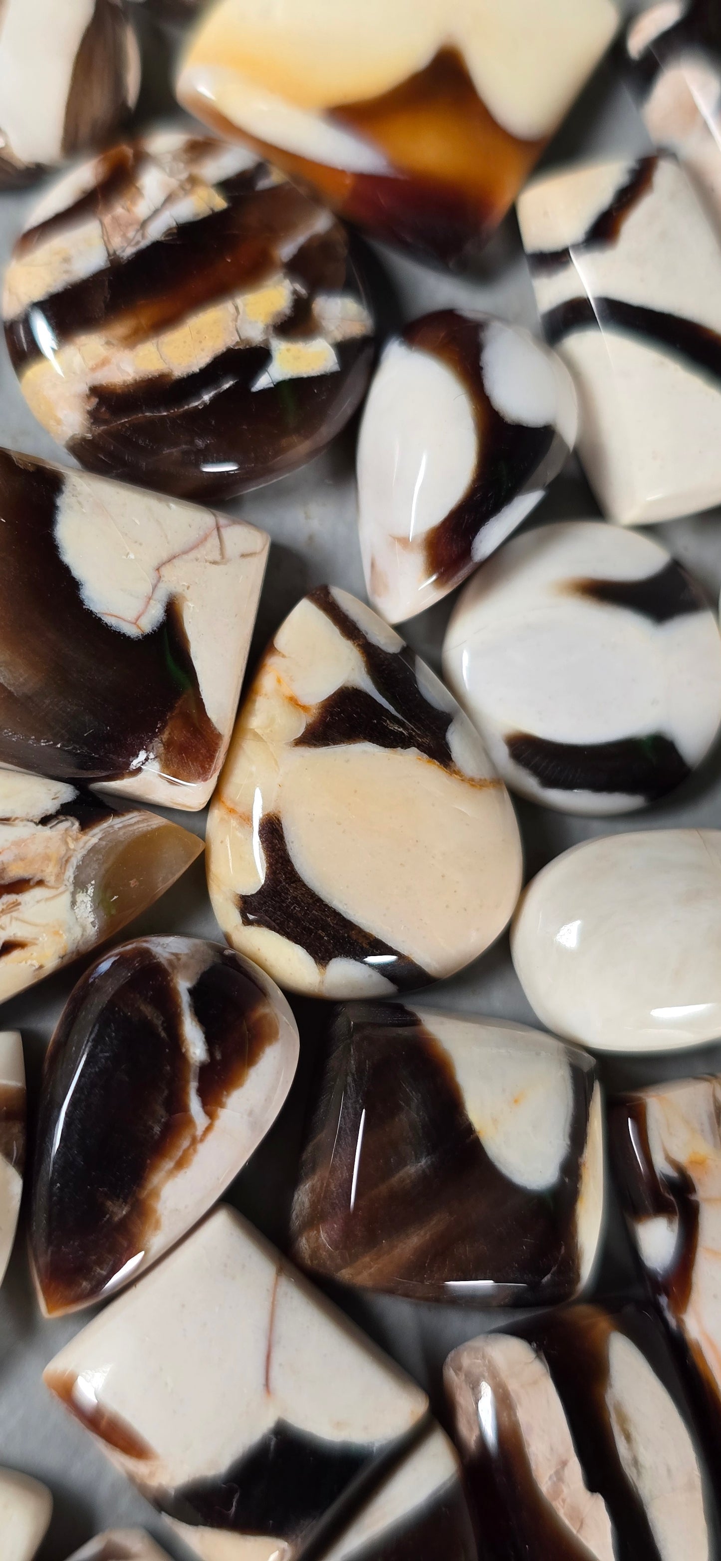 Peanut Wood - Random Cabochon