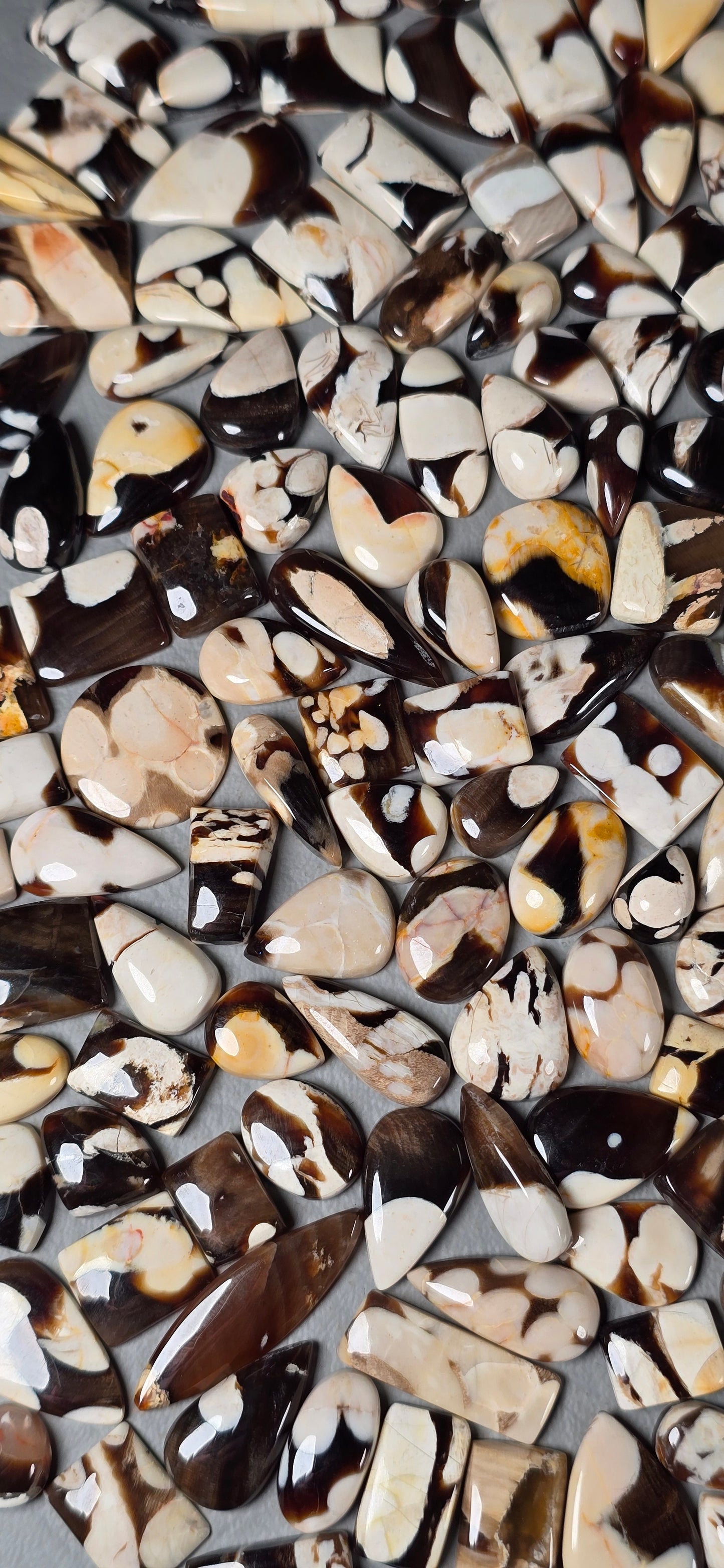 Peanut Wood - Random Cabochon