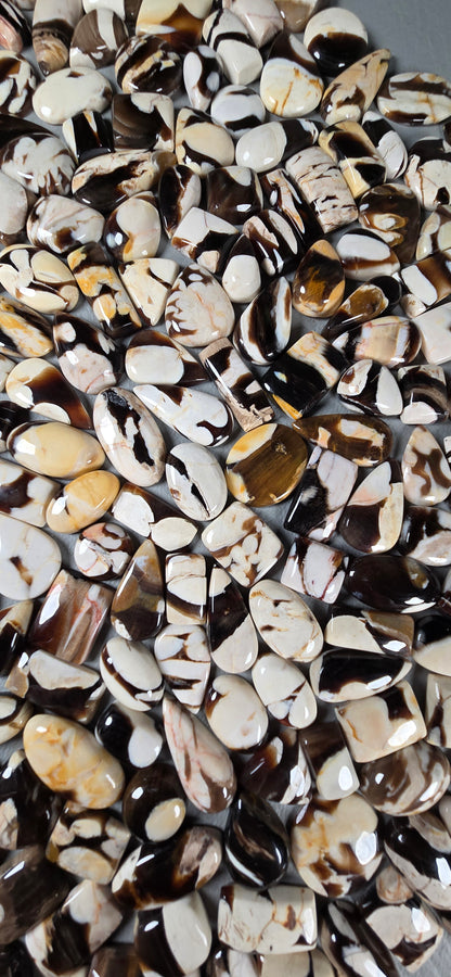 Peanut Wood - Random Cabochon